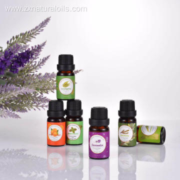 Hot selling essential oil set 6x10ml